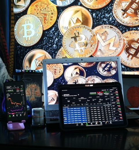 Germany: A Prime Destination for IT Specialists